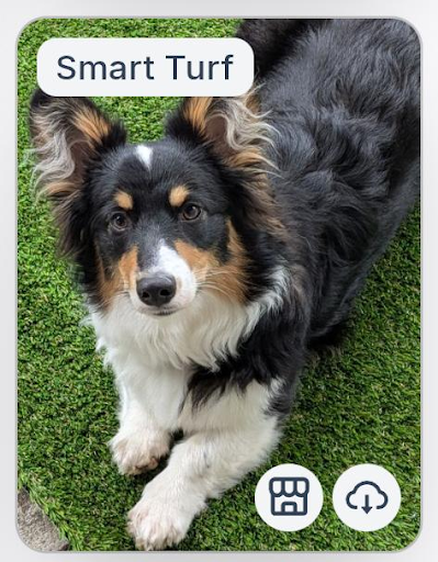 Smart Turf Collaboration